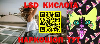 гидропоника Камышлов
