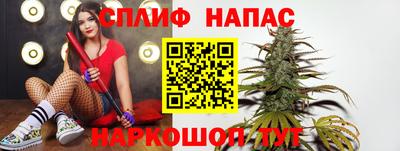 гидропоника Камышлов