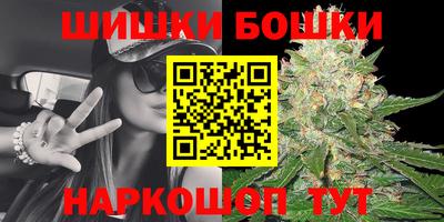 гидропоника Камышлов
