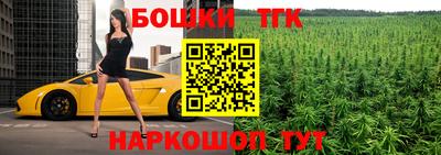 гидропоника Камышлов