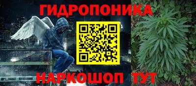 гидропоника Камышлов