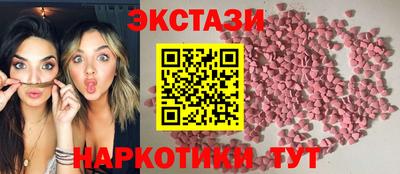 стаф Кингисепп