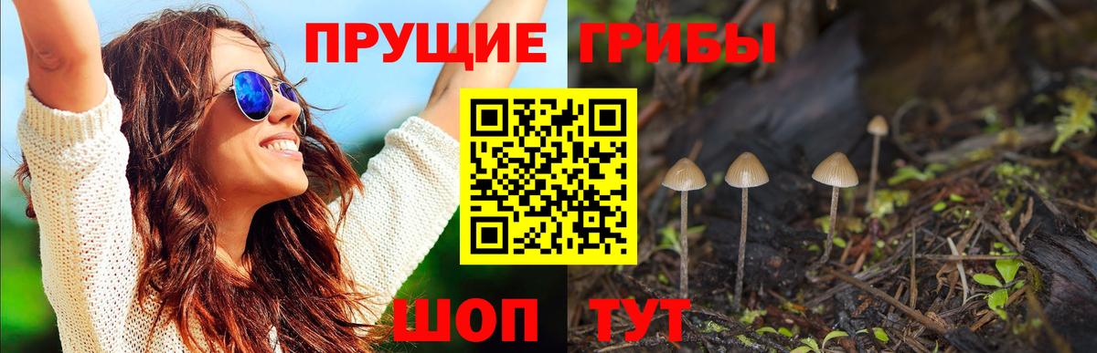 Галлюциногенные грибы прущие грибы Кумертау